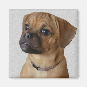 Puggle Lovers Geschenke Magnet