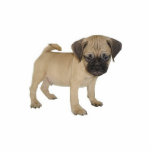 Puggle Magnet Fotoskulptur Magnet<br><div class="desc">Ein Magnet für Ihren Kühlschrank.</div>