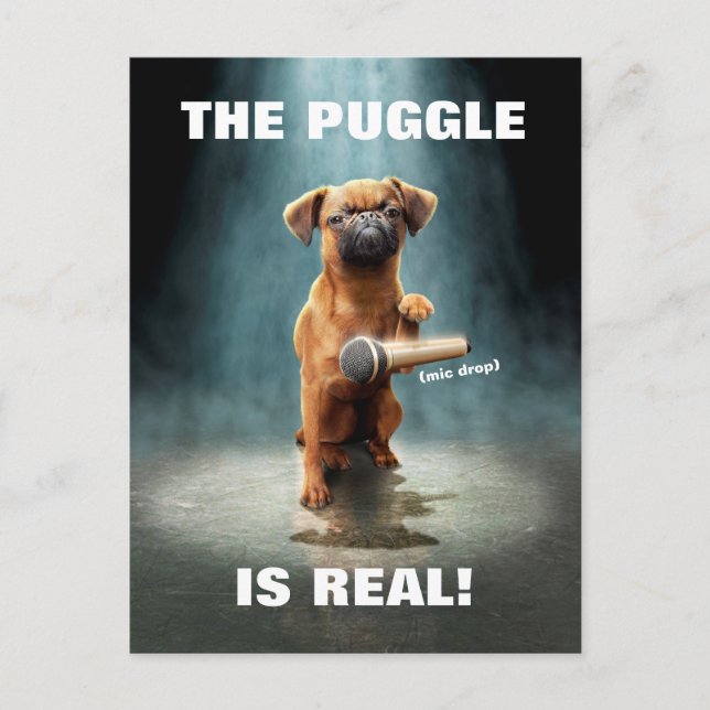 Puggle Mic Drop Einladungspostkarte (Vorderseite)