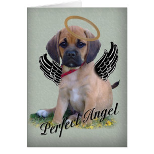 Puggle perfekte Engelskarte auf Grün