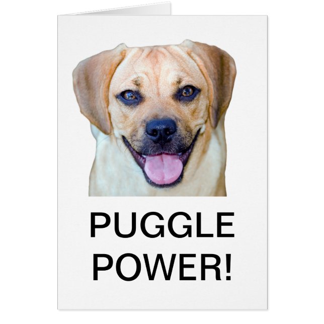 Puggle Power! (Vorne)