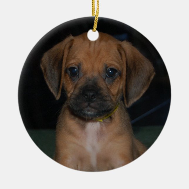 puggle Verzierung Keramikornament (Vorne)