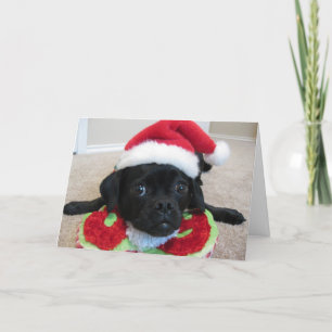 Puggle! Weihnachtskarte Feiertagskarte