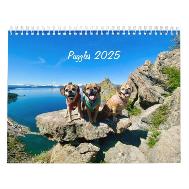 Puggles 2025 kalender (Titelbild)