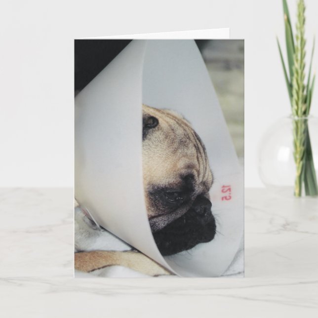 Puggy Get Well Greeting Card Karte (Vorderseite)