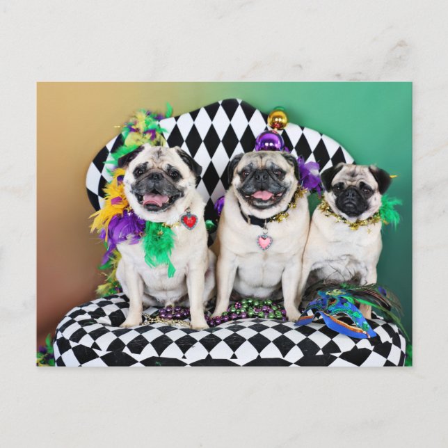 Pugsgiving Mardi Gras 2015 - Hambone Coco Olivia - Postkarte (Vorderseite)