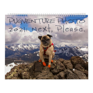 Pugventure Foto Calendar 2021: Als Nächstes bitte. Kalender