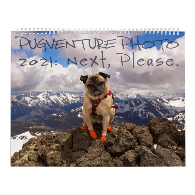 Pugventure Foto Calendar 2021: Als Nächstes bitte. Kalender (Titelbild)