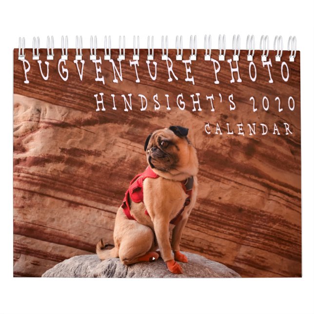 Pugventure Foto Hindsight's 2020 Calendar (Small) Kalender (Titelbild)