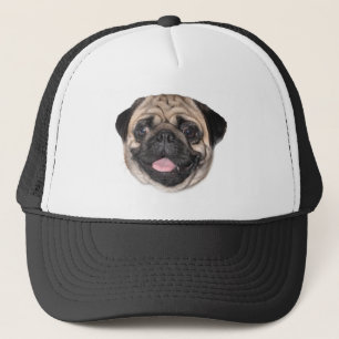 Pugzy stellen Kappe gegenüber