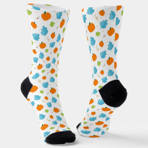Puimcin Socken