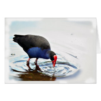 Pukeko Karte