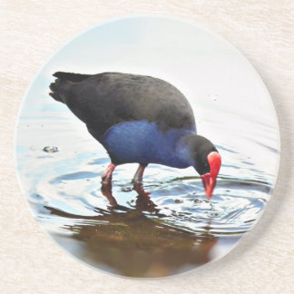 Pukeko Untersetzer