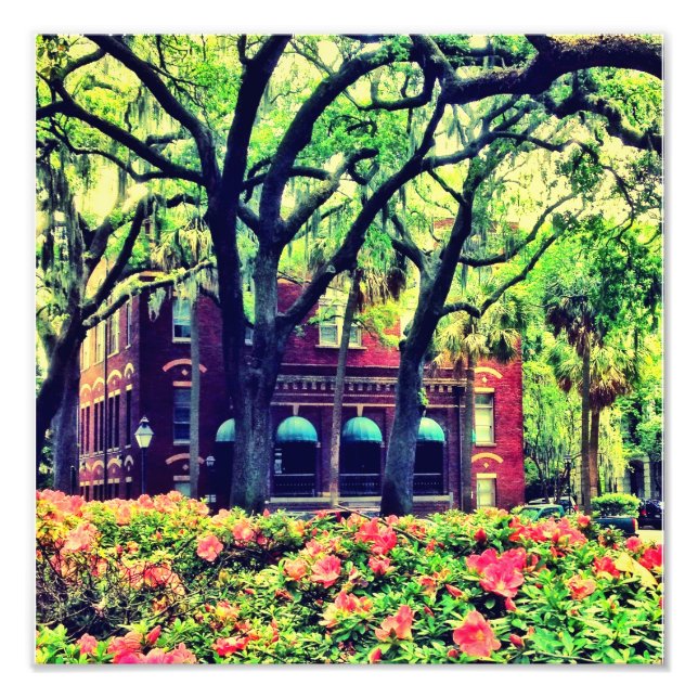 Pulaski Square, Savannah Fotodruck (Vorne)
