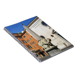 Pulcino Della Minerva Notizblock