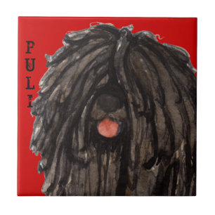 Puli Farbblock Fliese