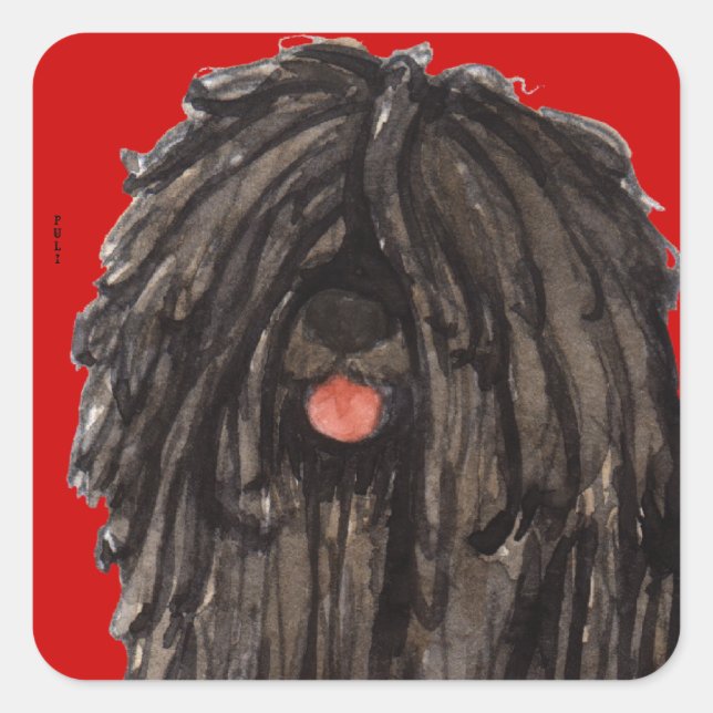 Puli-Farbblock Quadratischer Aufkleber (Vorderseite)