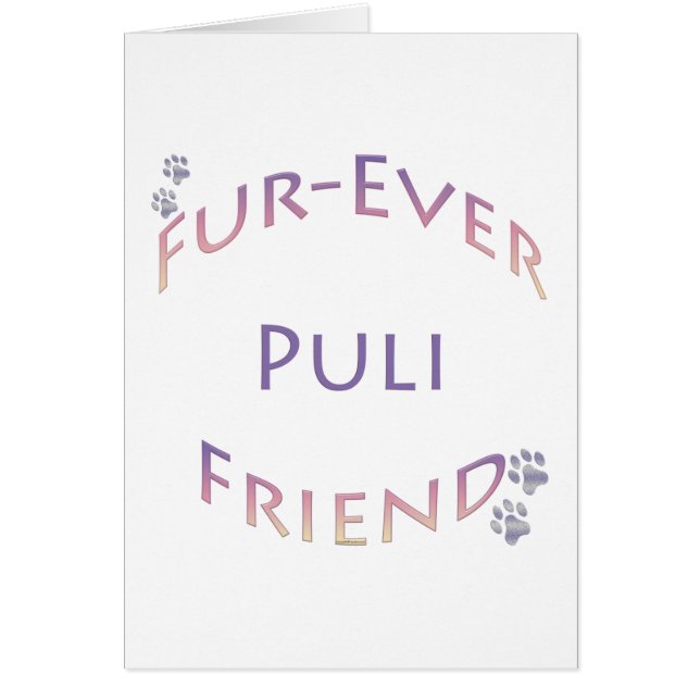Puli Furever Friend (Vorne)