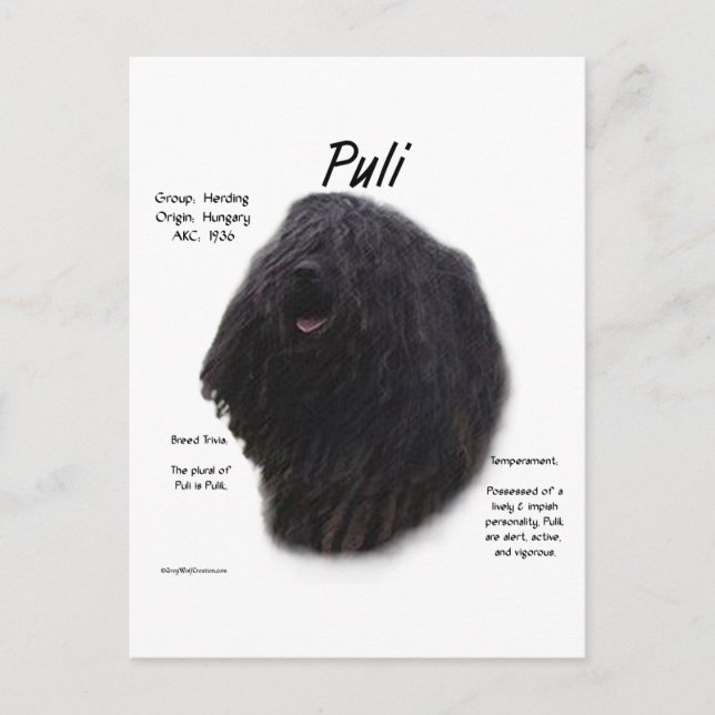 Puli History Design Postkarte (Vorderseite)