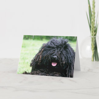 Puli Hundegruß-Karten Karte