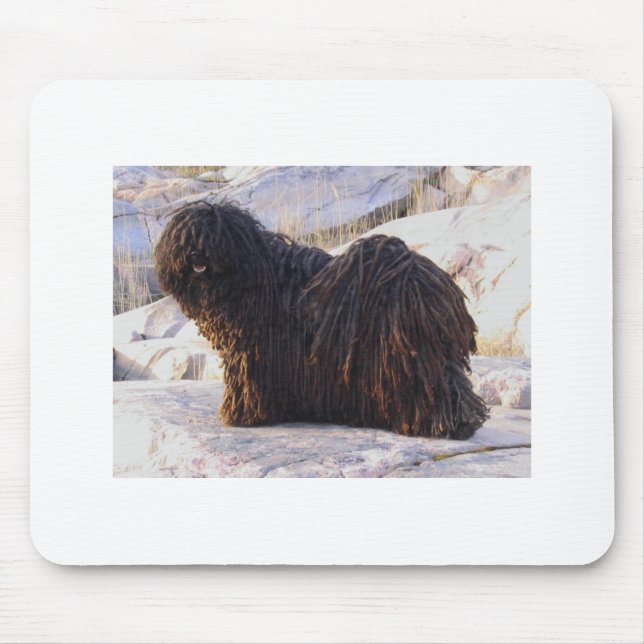 Puli Mousepad (Vorne)