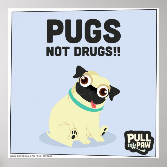 Pull My Paw - Poster 03 (Vorne)