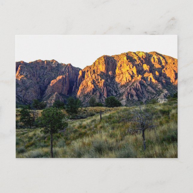 Pulliam Ridge, Big Bend National Park, Texas Postkarte (Vorderseite)