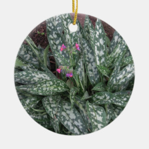 Pulmonaria - Lungwort mehrjährige Pflanze Keramik Ornament