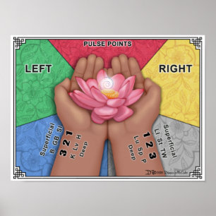 Puls Point Wall Chart - Große Poster