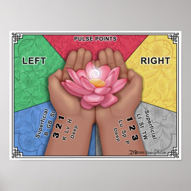 Puls Point Wall Chart - Große Poster (Vorne)