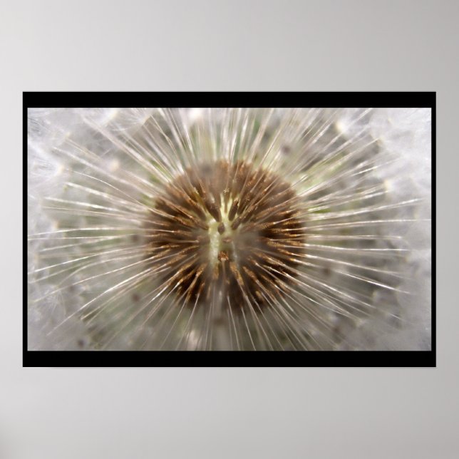 Pulsar Poster (Vorne)