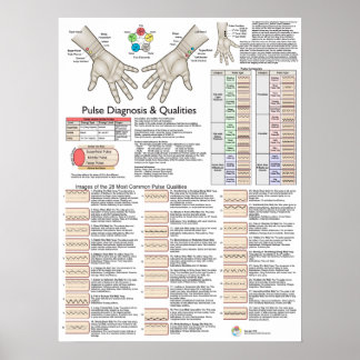 Pulsdiagnose Akupunktur TCM Poster