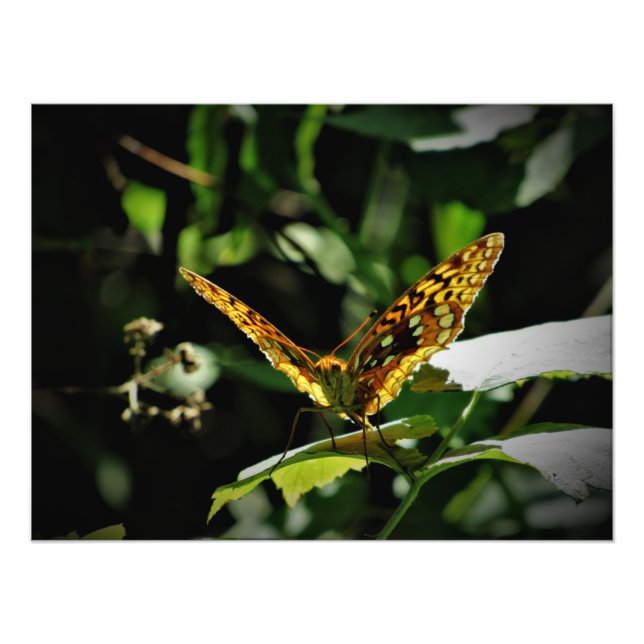 "Pulsing Joy" Fotodruck (Vorne)
