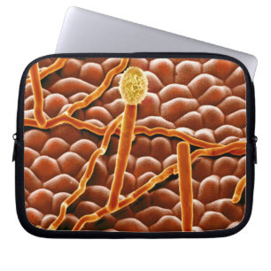 Pulvriger Mehltau-Pilz auf Poinsettia Laptopschutzhülle