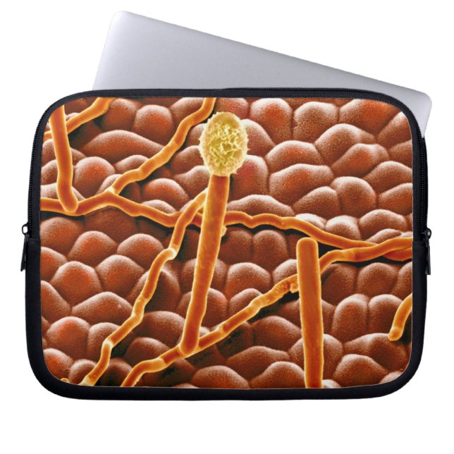 Pulvriger Mehltau-Pilz auf Poinsettia Laptopschutzhülle (Vorderseite)