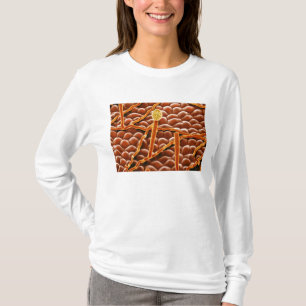 Pulvriger Mehltau-Pilz auf Poinsettia T-Shirt
