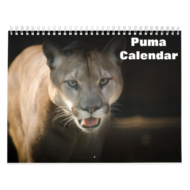 Puma 2026 kalender (Titelbild)