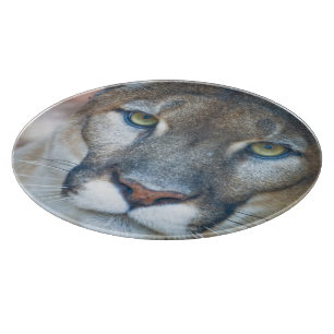 Puma, Berglöwe, Florida-Panther, Puma 2 Schneidebrett