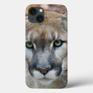Puma, Berglöwe, Florida-Panther, Puma Case-Mate iPhone Hülle
