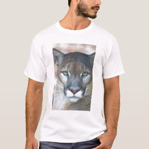 Puma, Berglöwe, Florida-Panther, Puma T-Shirt