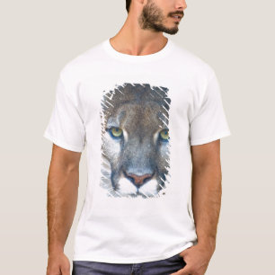 Puma, Berglöwe, Florida-Panther, Puma T-Shirt
