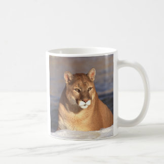 Puma-Gesicht Tasse