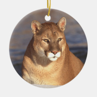 Puma-Gesichts-Verzierung Keramikornament