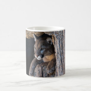Puma in Höhle Tasse