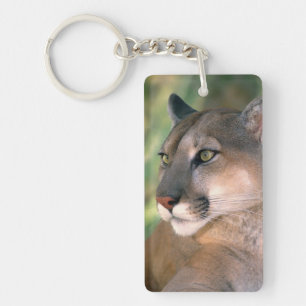 Puma, Kalifornien Schlüsselanhänger
