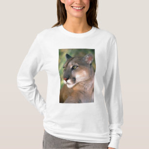 Puma, Kalifornien T-Shirt