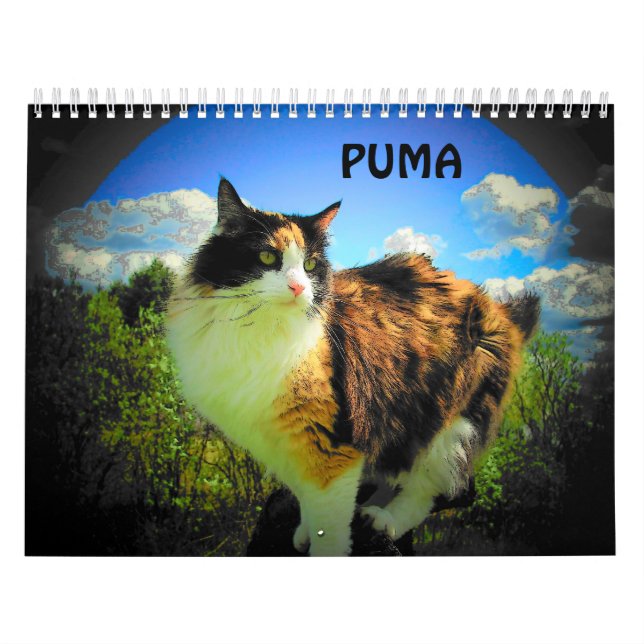 Puma, mein Kaliko, mein Supermodel Kalender (Titelbild)