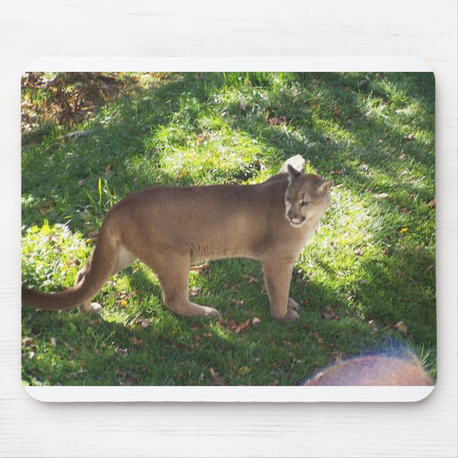 Puma Mousepad (Vorne)