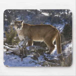 Puma Mousepad