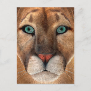 Puma Postkarte
